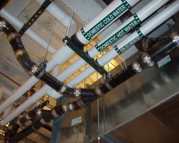 OLYMPUS DIGITAL CAMERA OLYMPUS DIGITAL CAMERA